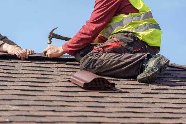 Best Shingle Roofing Installation  in Alamo, GA