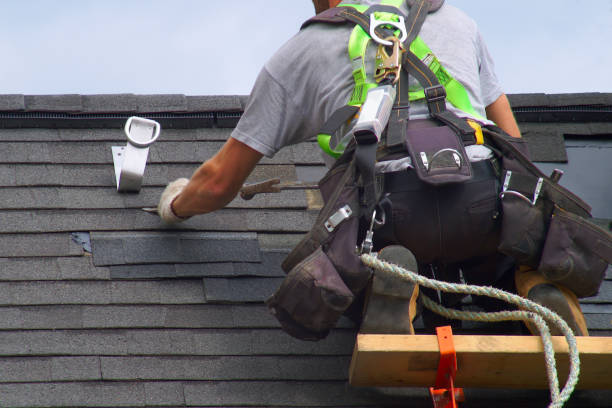 Best Local Roofing Companies  in Alamo, GA