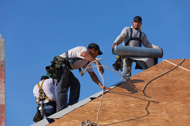 Best Best Roofing Contractors  in Alamo, GA