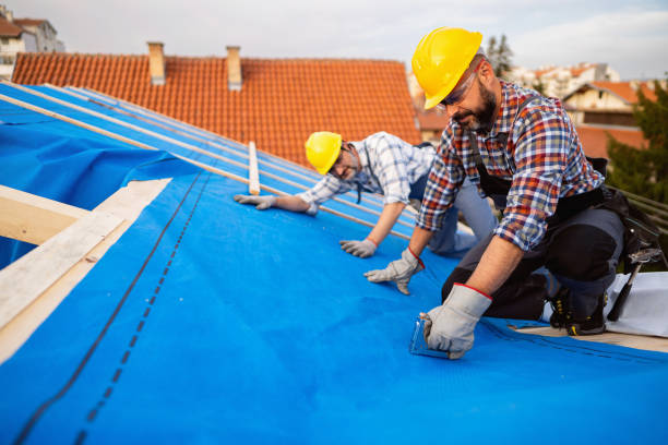 Best Roof Waterproofing Services  in Alamo, GA
