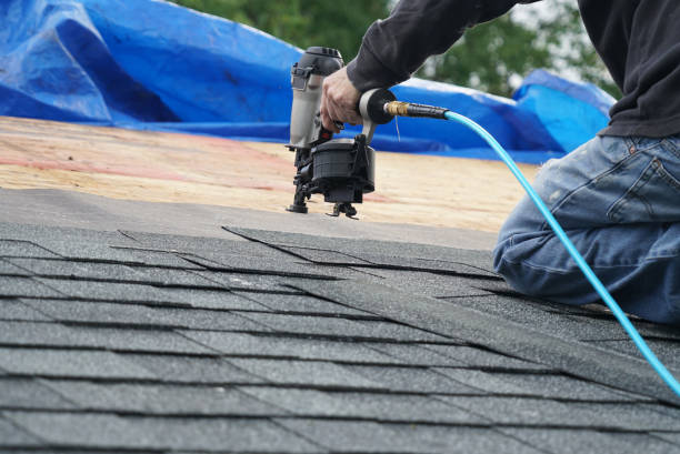 Best Roof Restoration Services  in Alamo, GA