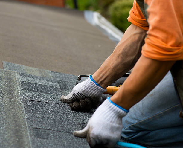 Best Local Roofing Companies  in Alamo, GA