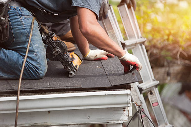 Best Roof Repair Services  in Alamo, GA