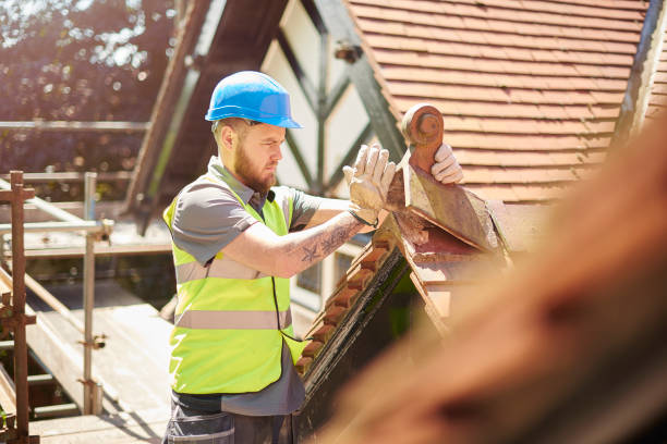 Best Best Roofing Contractors  in Alamo, GA