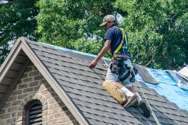 Best Roof Gutter Cleaning  in Alamo, GA